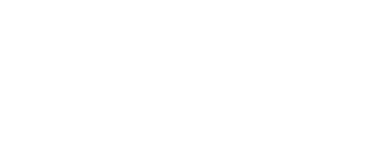 Livitran dark logo